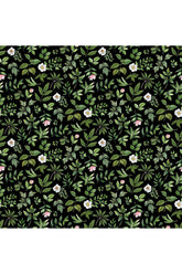Fabric, Northcott Fabrics, Blush Collection - Wideback